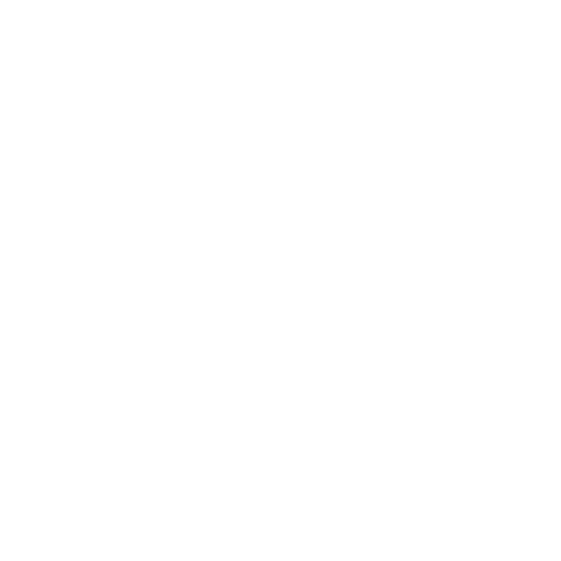THIRD COAST TRANSPORT
